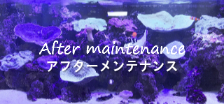アフターメンテナンス