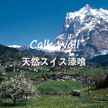 天然スイス漆喰