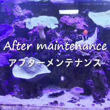 アフターメンテナンス