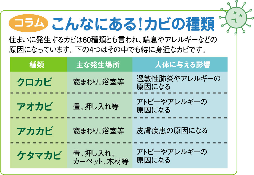 カビの種類の図